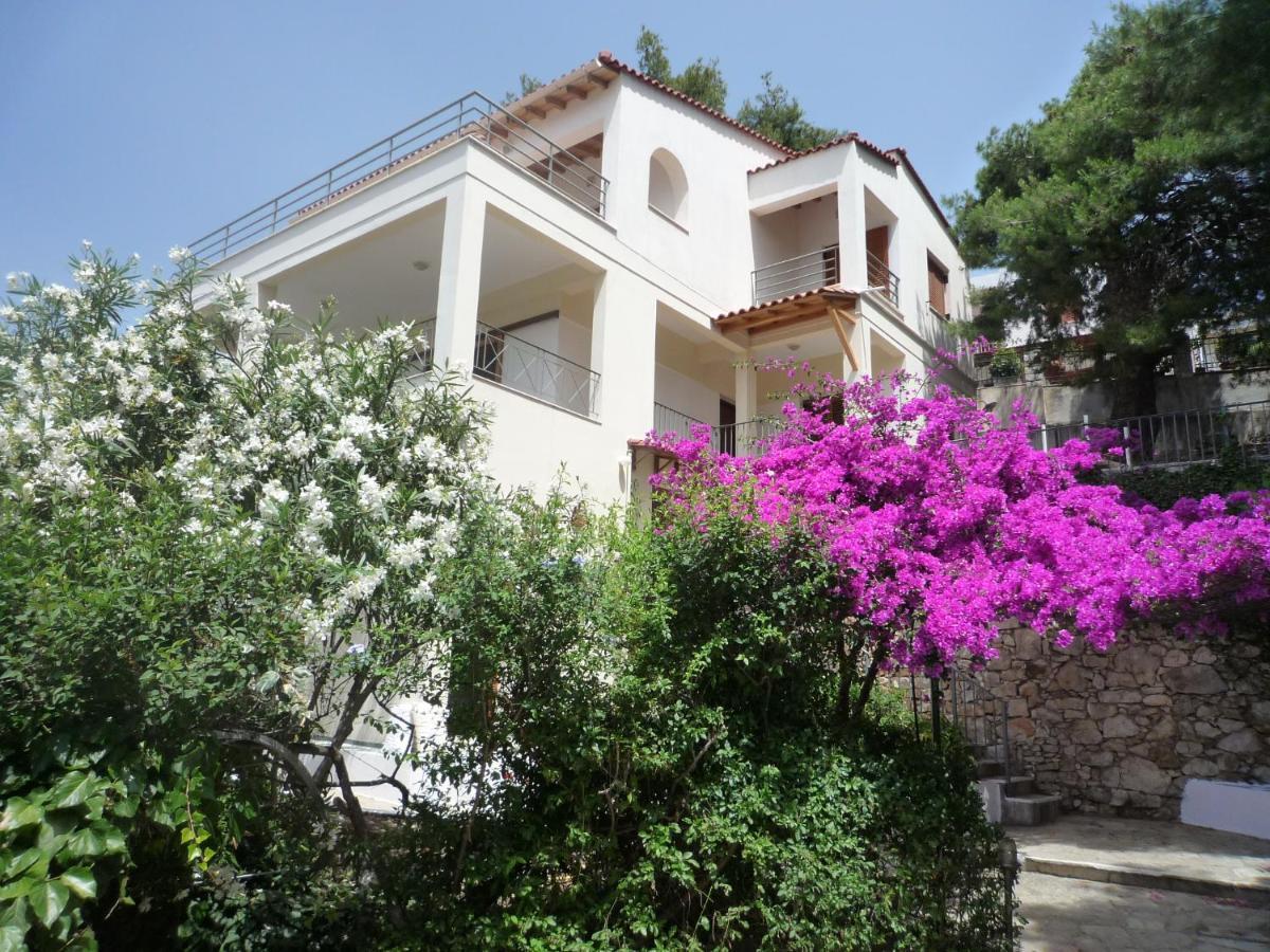 Villa Iguana Votsi Votsi  Екстериор снимка